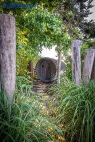 Tiny Wellnesslodge Wulp met sauna - Image 2