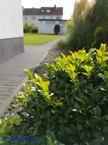 Pension Harleshausen - Image 3