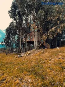 Casa en el Árbol Guatavita - Image 5