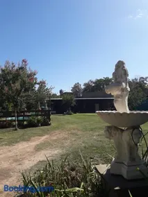 Sueño Bonito - Image 4