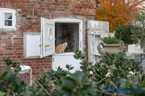 Lille Weiss-KEINE MONTEURE- - Image 1