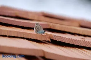 L'Insolite Jurassienne - Image 3