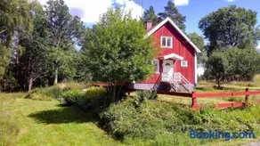 KRO886-Aseda-Tvinnesheda-3 - Image 2