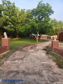 The Pecan House - Image 3
