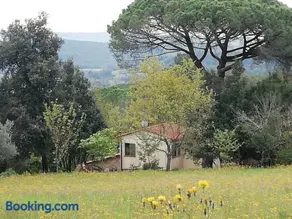 Casa Jacaranda - Image 2