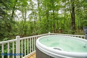 Camp Conway Hot Tub AC New Kitchen Deck - Image 1