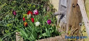 Cherry Orchard Retreat - Image 3