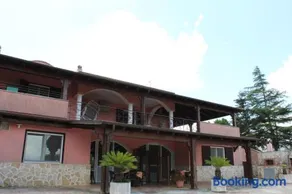 Piccolo Ulivo - Image 2