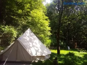 Tente Tipi en plein cœur d'une forêt - Image 1
