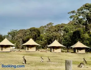 Tathra Beach Eco Camp - Image 3