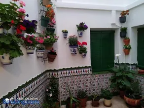Alicante-Rental Alojamientos Turisticos CULTURAS Y COLORES EN ALMAGRO -Parking -Promocion EMPRESAS- - Image 1