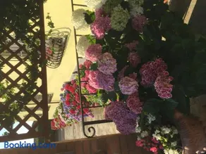 Albergo Il Gufo - Image 3