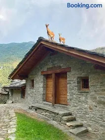 Maison de Noé - Image 4