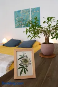 Le pied-à-terre du botaniste - Image 3