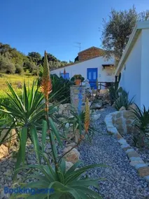 Appartamento Origano - Image 2
