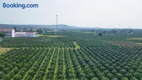Homestay Thảo Nguyên Xanh - Image 1