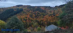 65ha de nature privatisée, authenticité en Haute Ardèche 10 à 14 personnes - Image 1