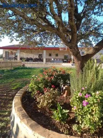 CASA RURAL LA HOJA EL VALLE - Image 1