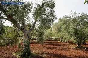 villetta da zio Marcello - Image 3