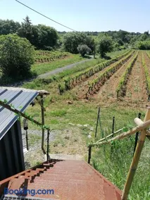 Conteneur avec spa privé face aux vignes - Image 1