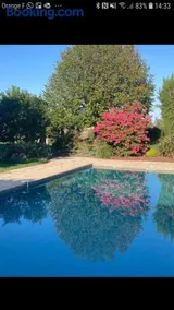Gîte cocooning climatisé avec piscine et animaux - Image 3