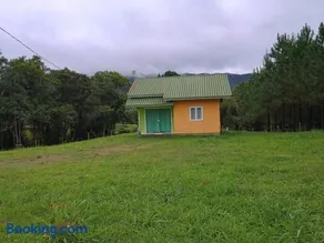 Casa das Palmeiras - Image 1