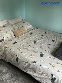 FEMALES ONLY OR Couples for DOUBLE ROOM - near Stonehenge - Image 2