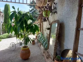 Le Clos de Saint-Amour - Image 3