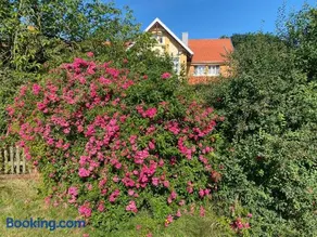 Wohnfass Fuchsbau - Image 3