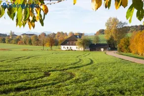 Seehof direkt am See - Image 4