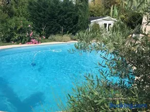 Maison ancienne avec piscine au milieu des vignes - Image 1