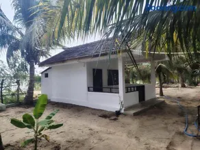 Eco Palms - Image 3