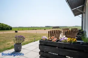 Johanneshoeve - de mooiste plek op Texel - Image 4