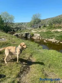 Charming dog-friendly Yorkshire Dales Cottage, Austwick - Image 2