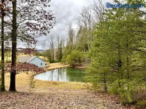 Adventure Cabin with Private Pond Near New River Gorge, Gauley & Summersville Lake - Image 3