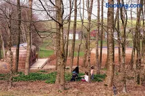 Les Cocons d'Ardenne - Hébergement insolite - Image 3