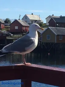 Sjøhaug Rorbu - Image 3