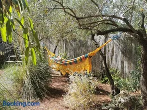 Studio Orange Oasis - Image 2