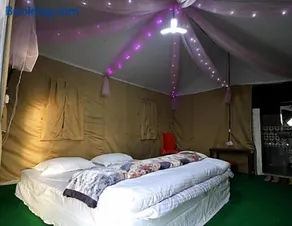 Camping in Chail - Image 2