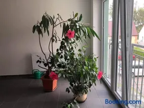 Apartman c.8 Magnolie - Image 3