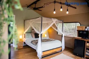Moogie Glamp - Image 3