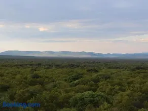 Mokuru Private Nature Reserve - Image 5