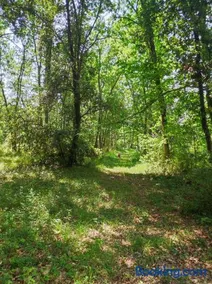 La roulotte Couzotte - Image 4