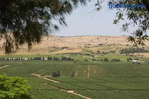 אביב בכרם - בקתות כפריות מקסימות עם ג'קוזי מול נוף מדהים - Image 3