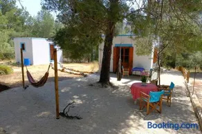little house in forest - Image 3