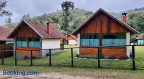 Palmeira Azul - Image 1