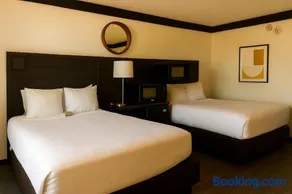 Motel 6 Extended Stay Birmingham Pelham, AL - Image 4