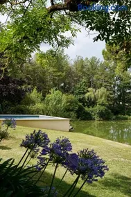 Maison L Gascony - Image 4