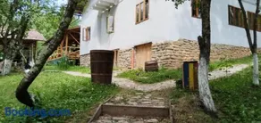 Mesteceni Glamping - Image 2