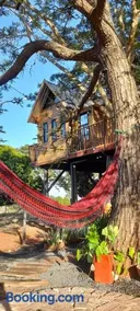 Casa na arvore Dream tree house - Image 2